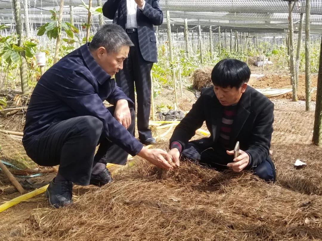 首页| CA88集团中国唯一官方网站