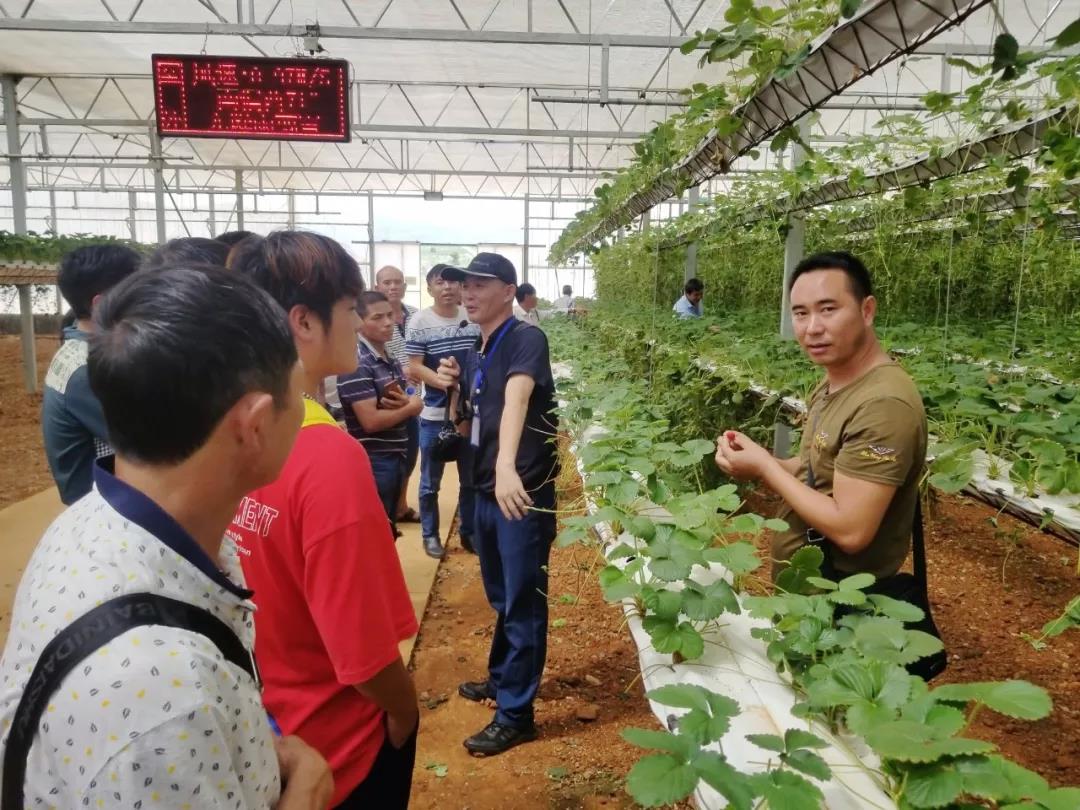 首页| CA88集团中国唯一官方网站