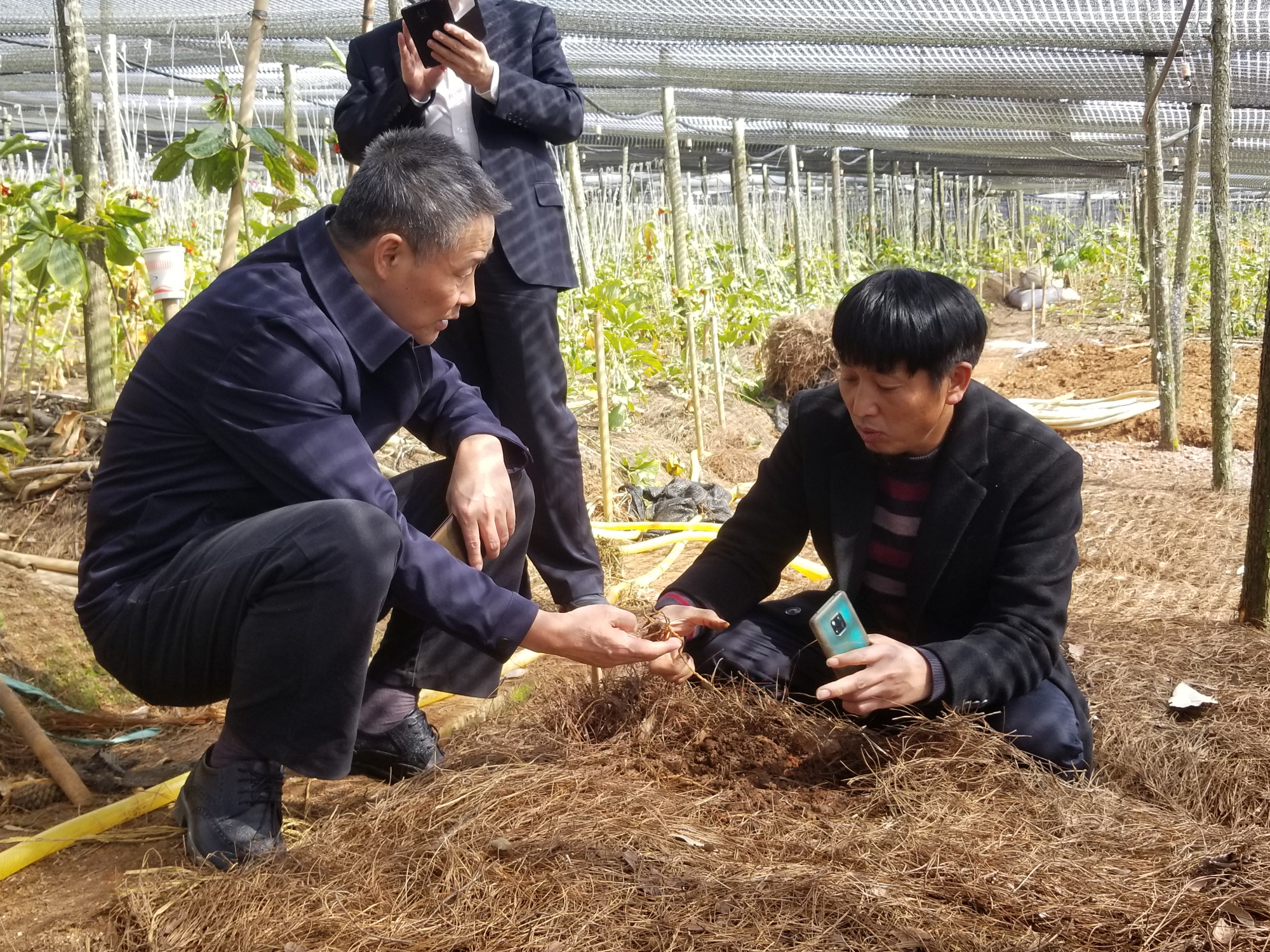 首页| CA88集团中国唯一官方网站