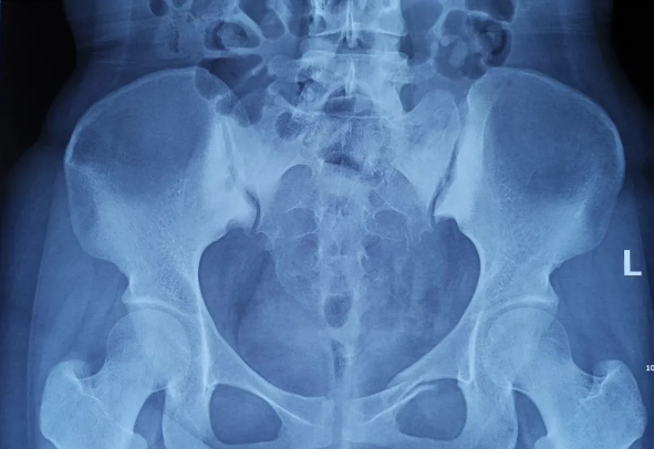 威客电竞·(中国)VKGAME官网入口